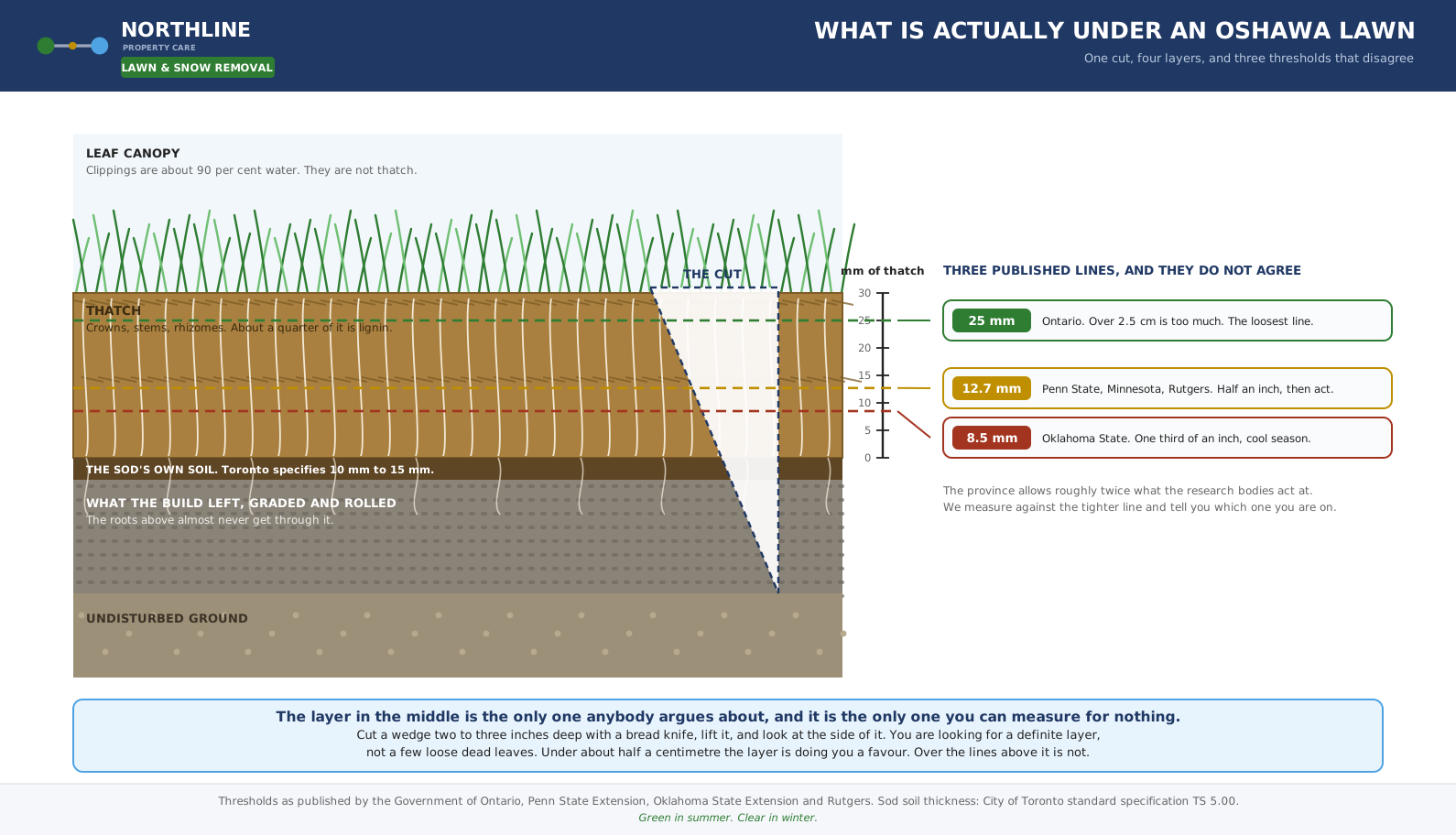 Cross section of an Oshawa lawn showing canopy, thatch, sod soil and compacted fill, with three thatch thresholds marked.