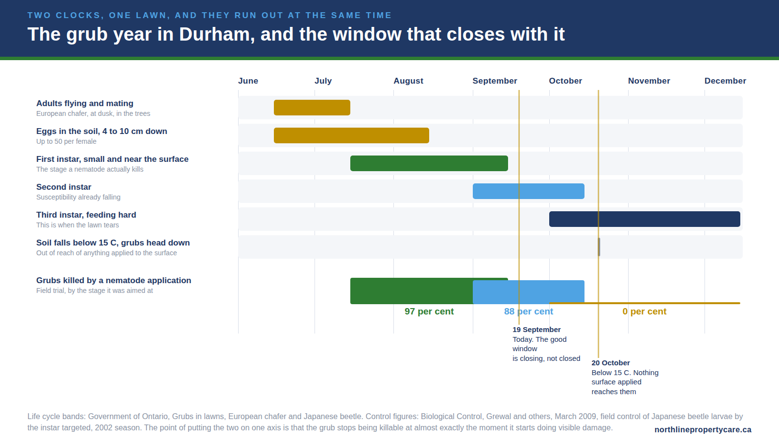The grub life cycle in Durham against nematode control by larval stage, June to December.