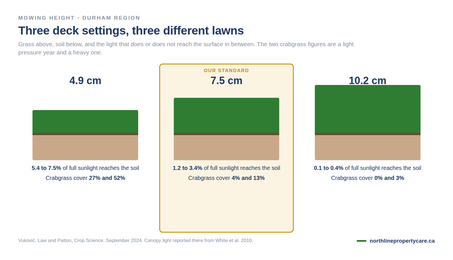 Diagram comparing a lawn cut at 4.9 cm, 7.5 cm and 10.2 cm, showing canopy shade and rooting depth at each height.