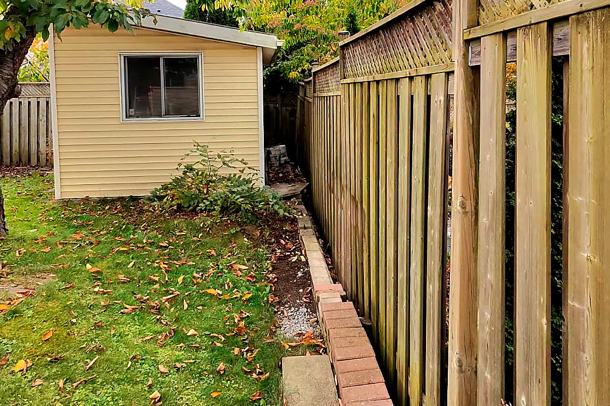 A strip of lawn and a narrow bed beside a backyard shed, buried in fallen leaves before the cleanup