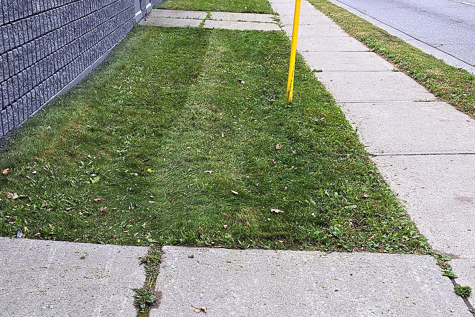 The same lawn strip mowed and trimmed along the building and the sidewalk