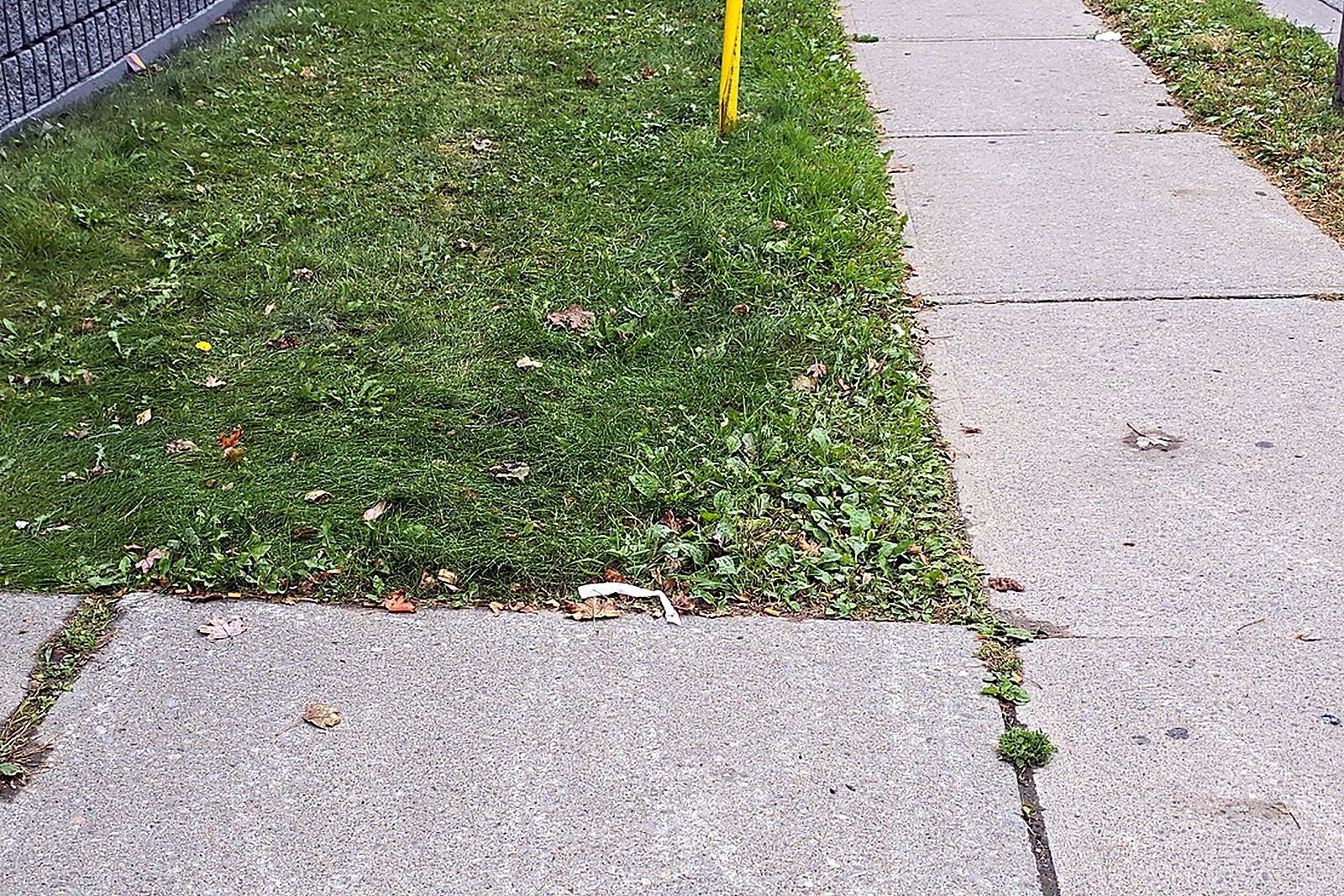 A long, untrimmed lawn strip between a commercial building and the sidewalk