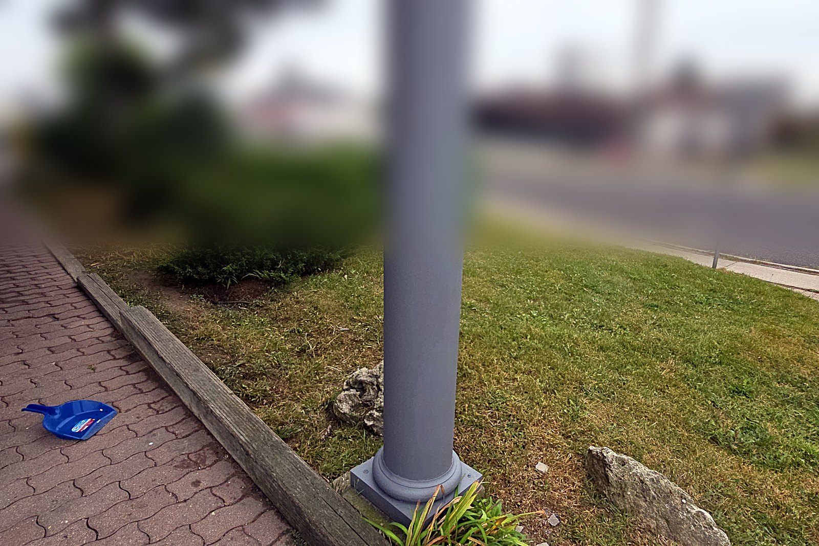 A commercial corner lawn after a Northline grounds visit