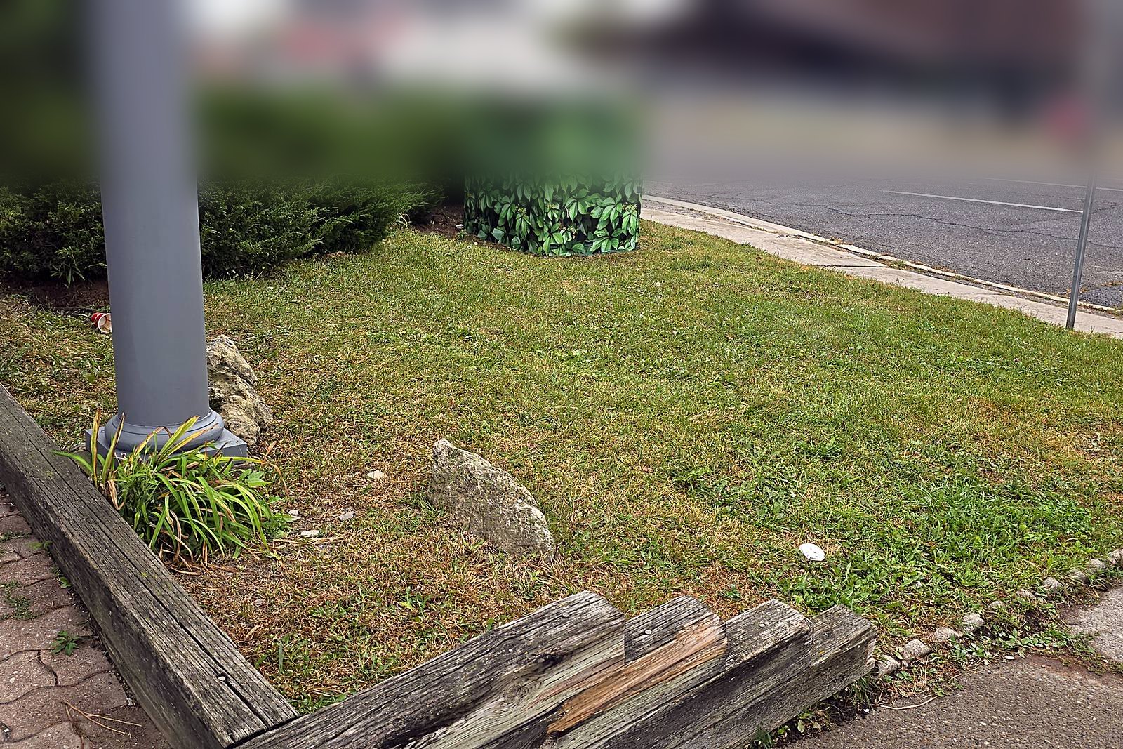 The same commercial corner lawn before the visit