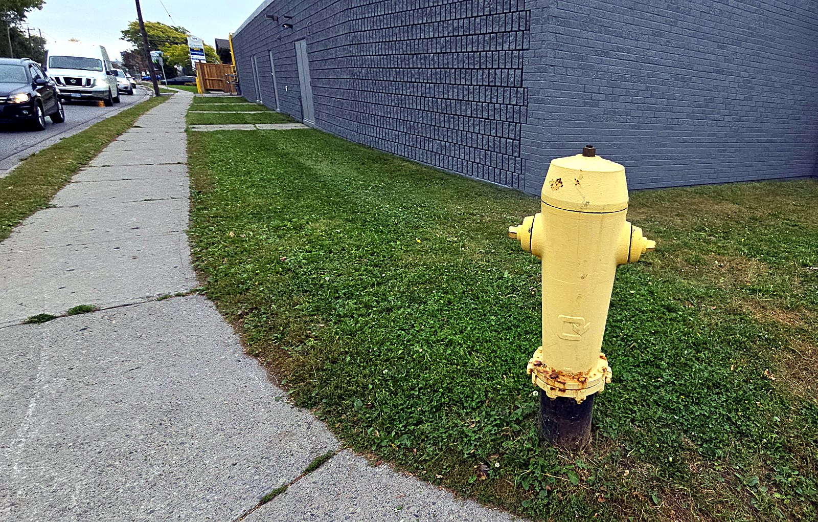 A freshly mowed commercial corner lawn trimmed around a yellow fire hydrant