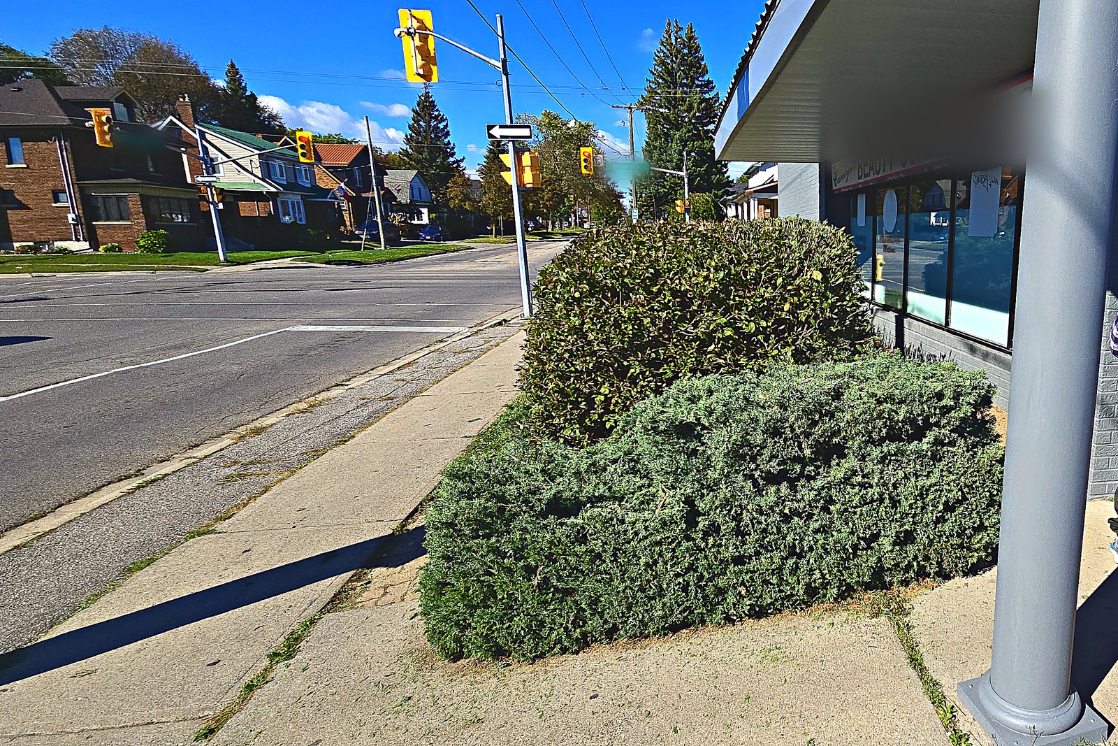 A commercial corner bed cut back clear of the sidewalk