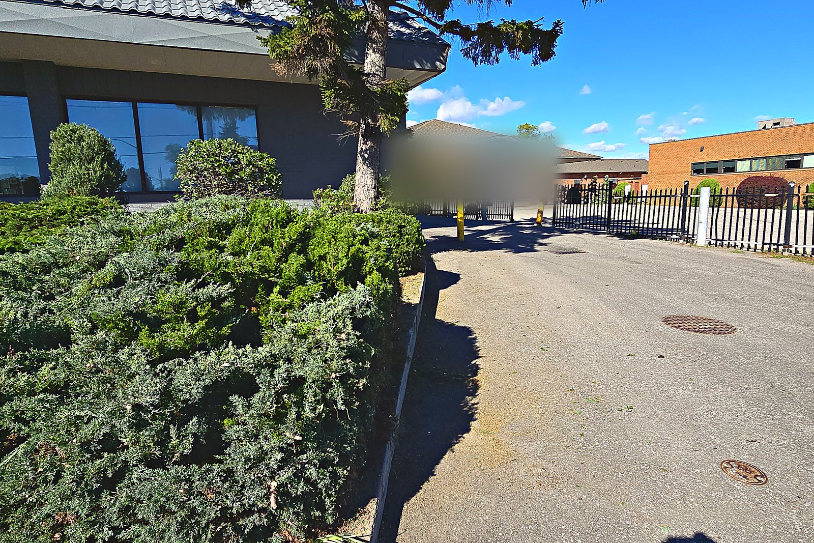 The same hedge line cut back square and clear of the laneway