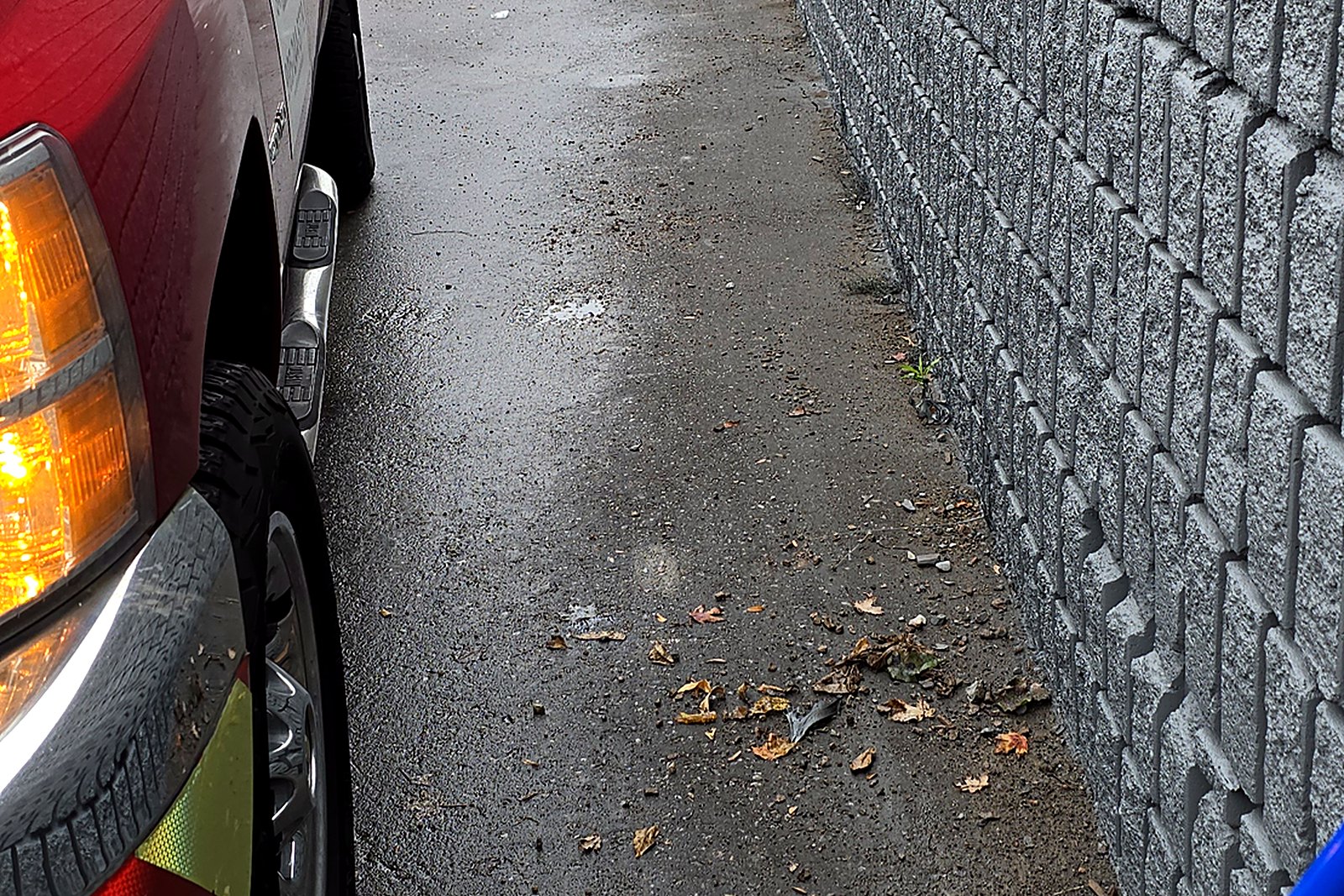 The rear service laneway behind a commercial property before sweeping
