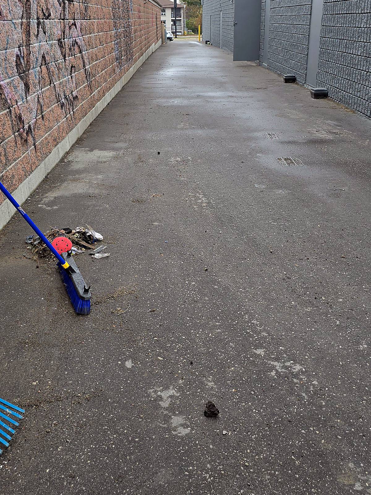 A rear service laneway behind a commercial property after it was swept
