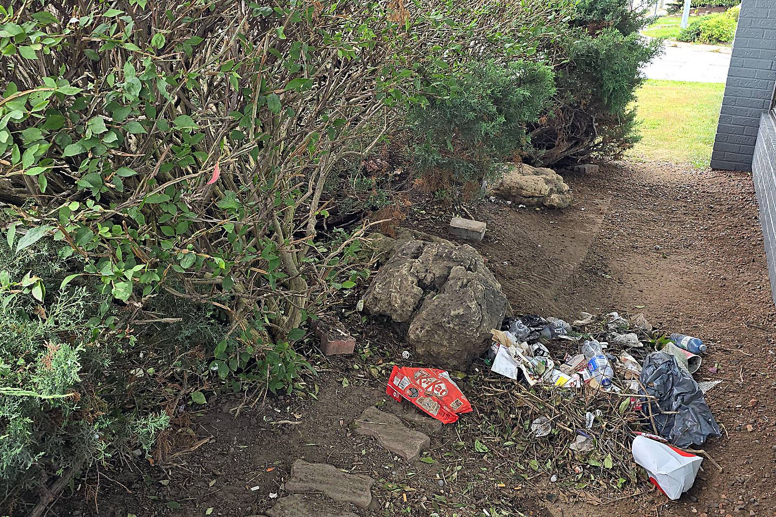 A garden bed beside a commercial building with a pile of litter in the soil
