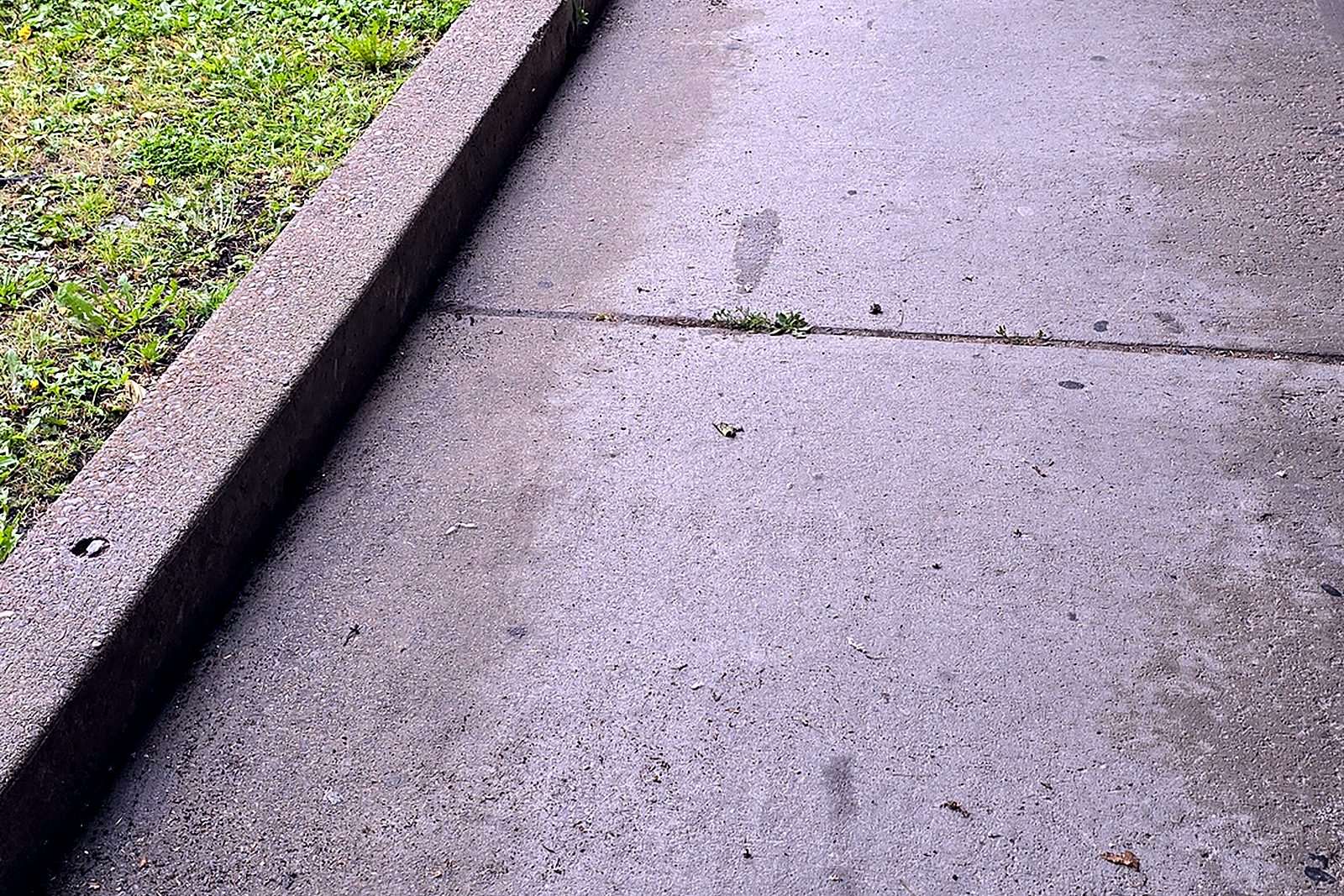 The same walkway with the litter cleared