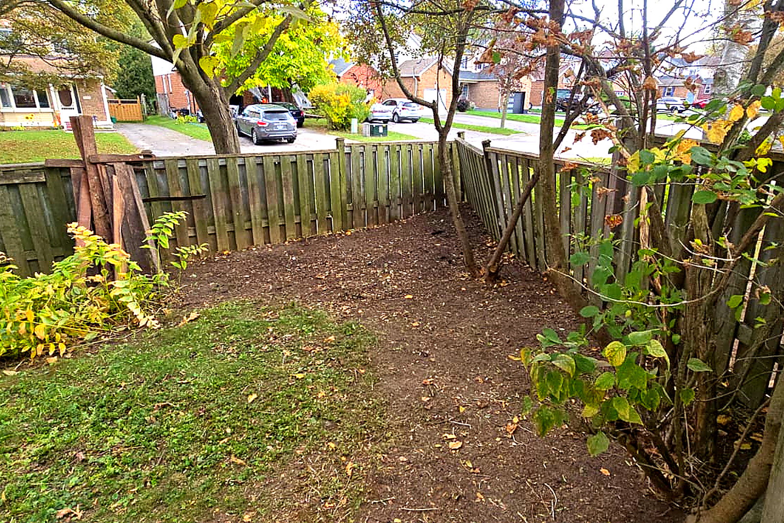 The same fence line after a Northline cleanup, the boards clear to the ground