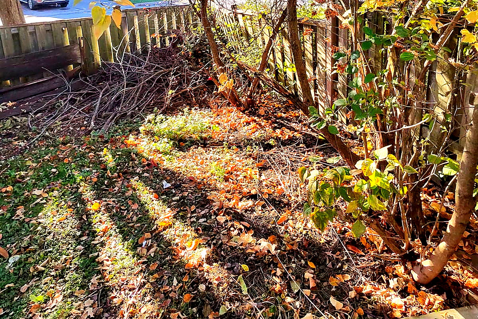 A fence line at the back of a yard packed with leaves blown up against the boards
