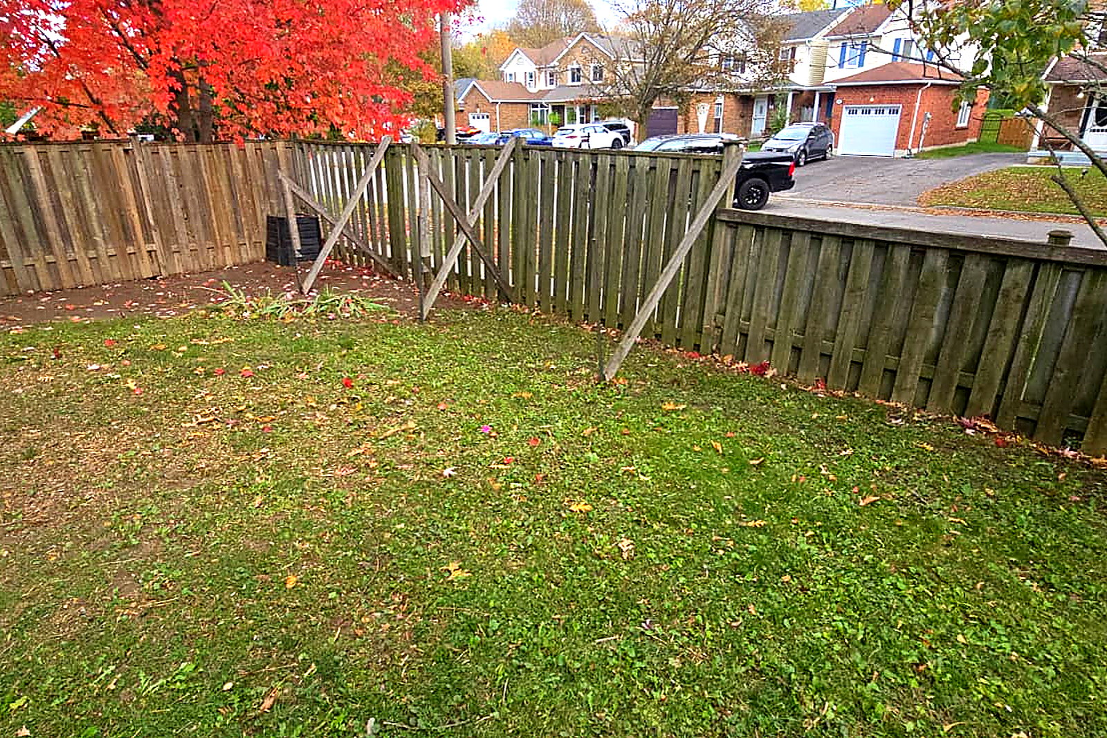 The same back lawn after a Northline cleanup, every leaf off the grass
