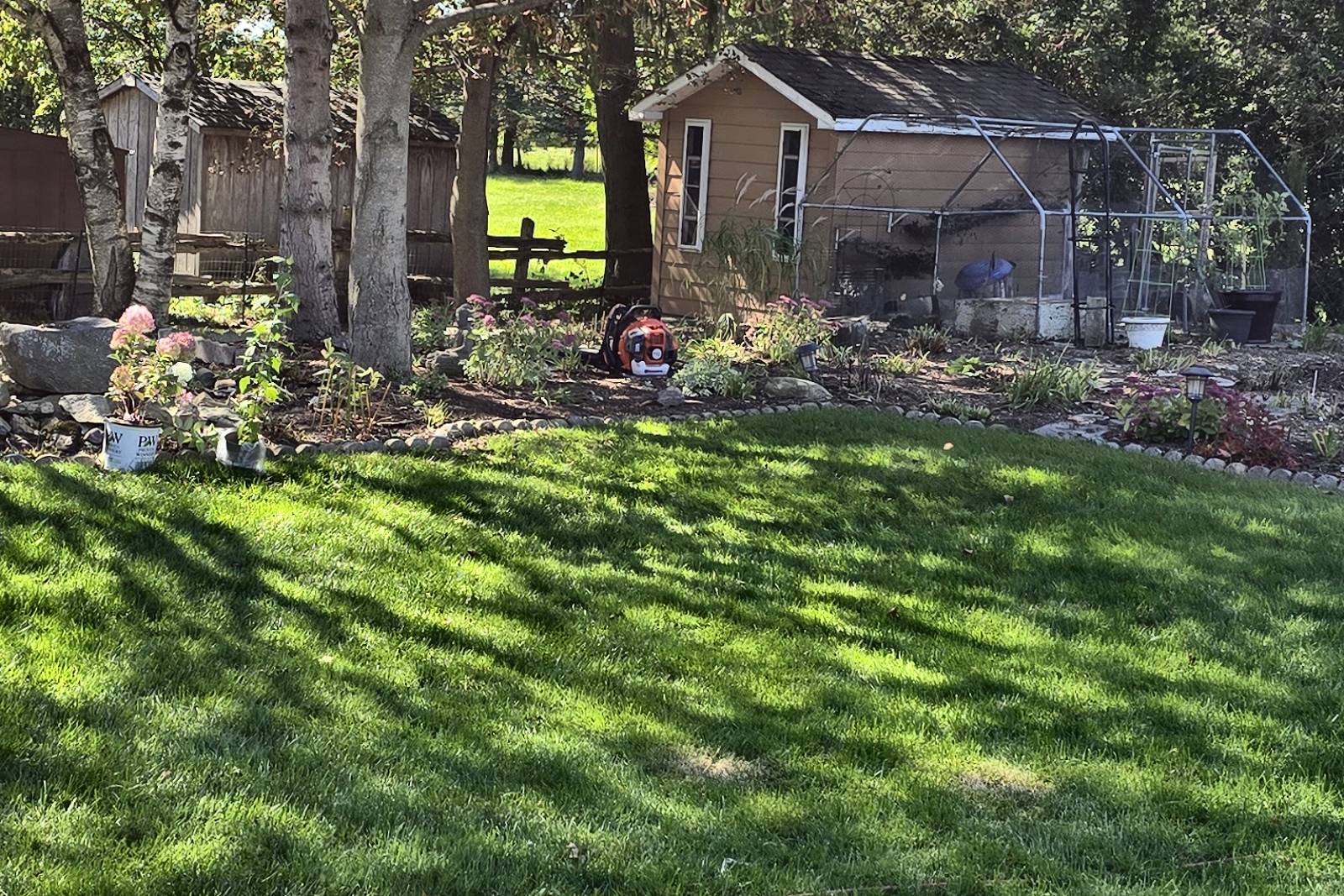 The same backyard after a Northline fall cleanup, lawn and garden beds cleared of leaves