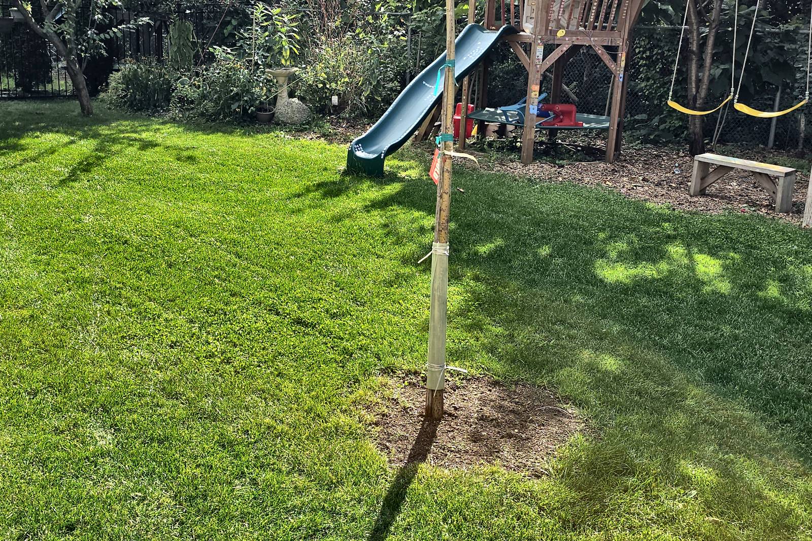 A back lawn cleared of leaves after a Northline fall cleanup