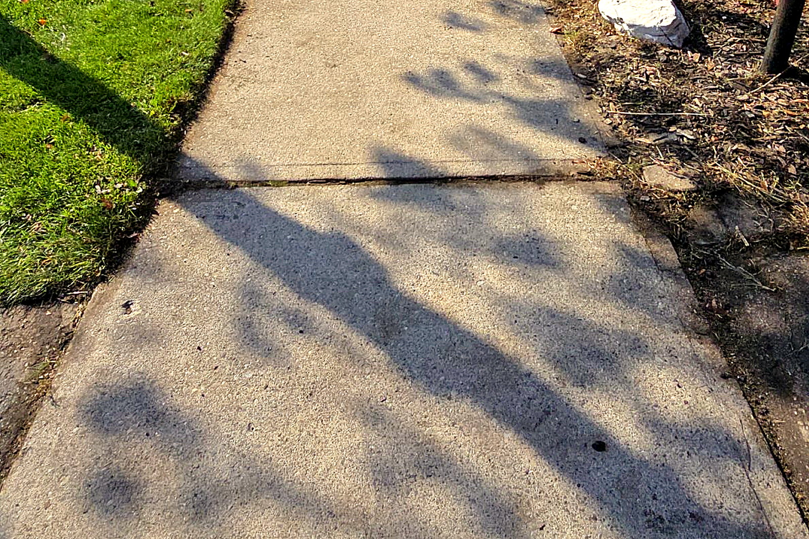 A residential front walkway cleared of leaves after a Northline fall cleanup