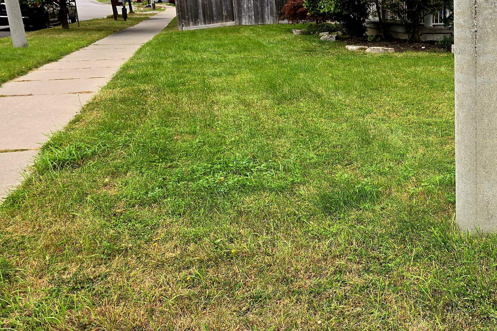 A corner front lawn with long grass before a lawn cut