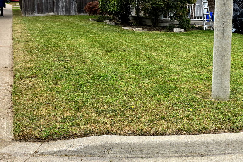 The same corner lawn, finished