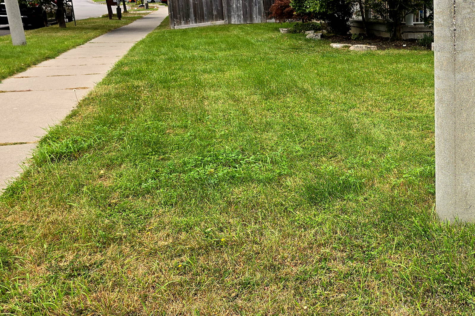 The same corner lawn before the cut