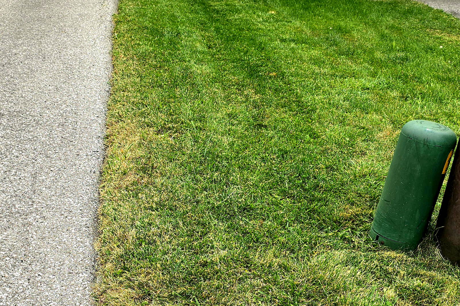 A driveway edge after a Northline visit