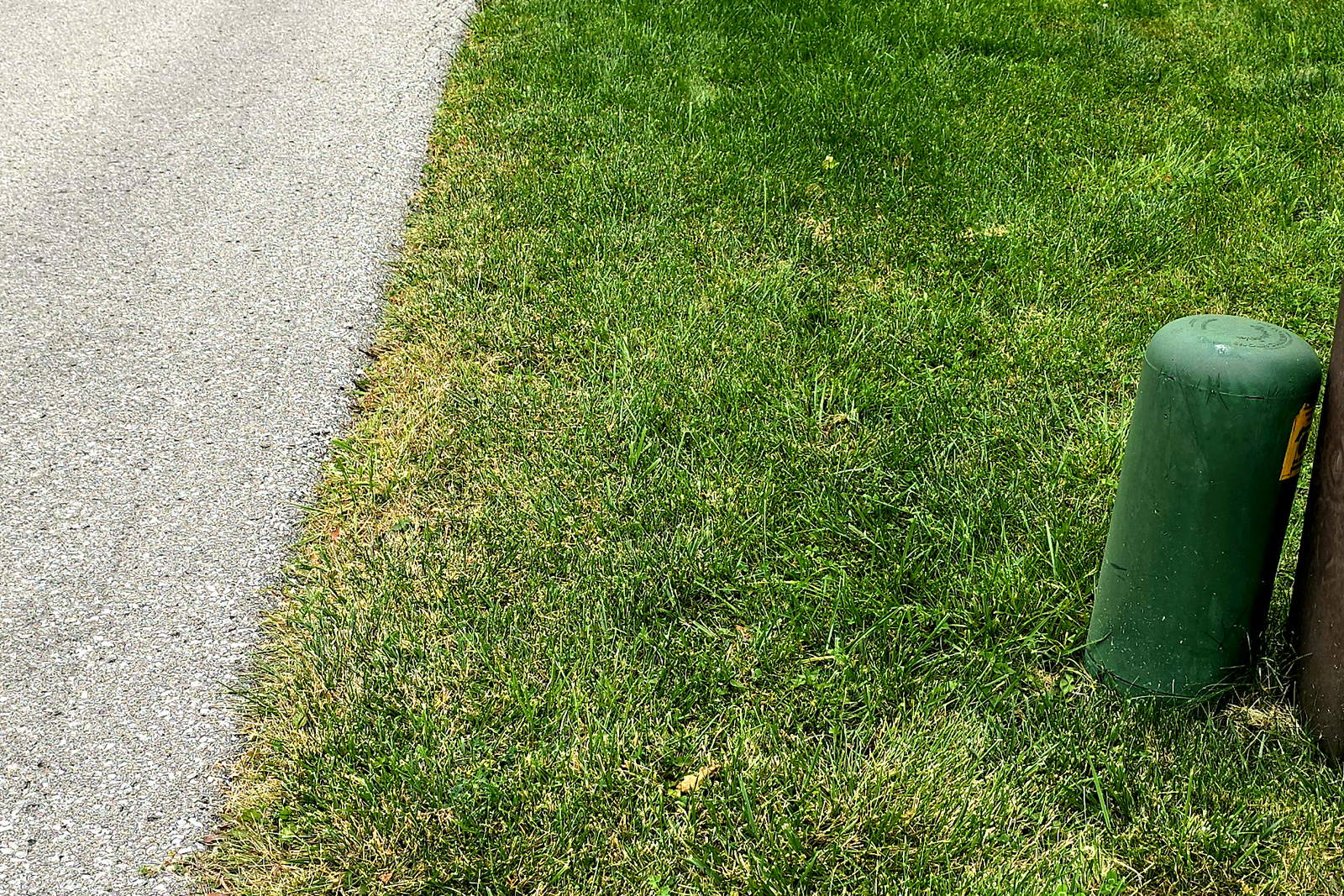 The same driveway edge before the visit