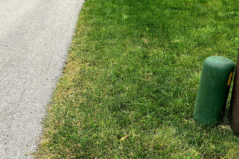 A lawn edge before the restoration work begins