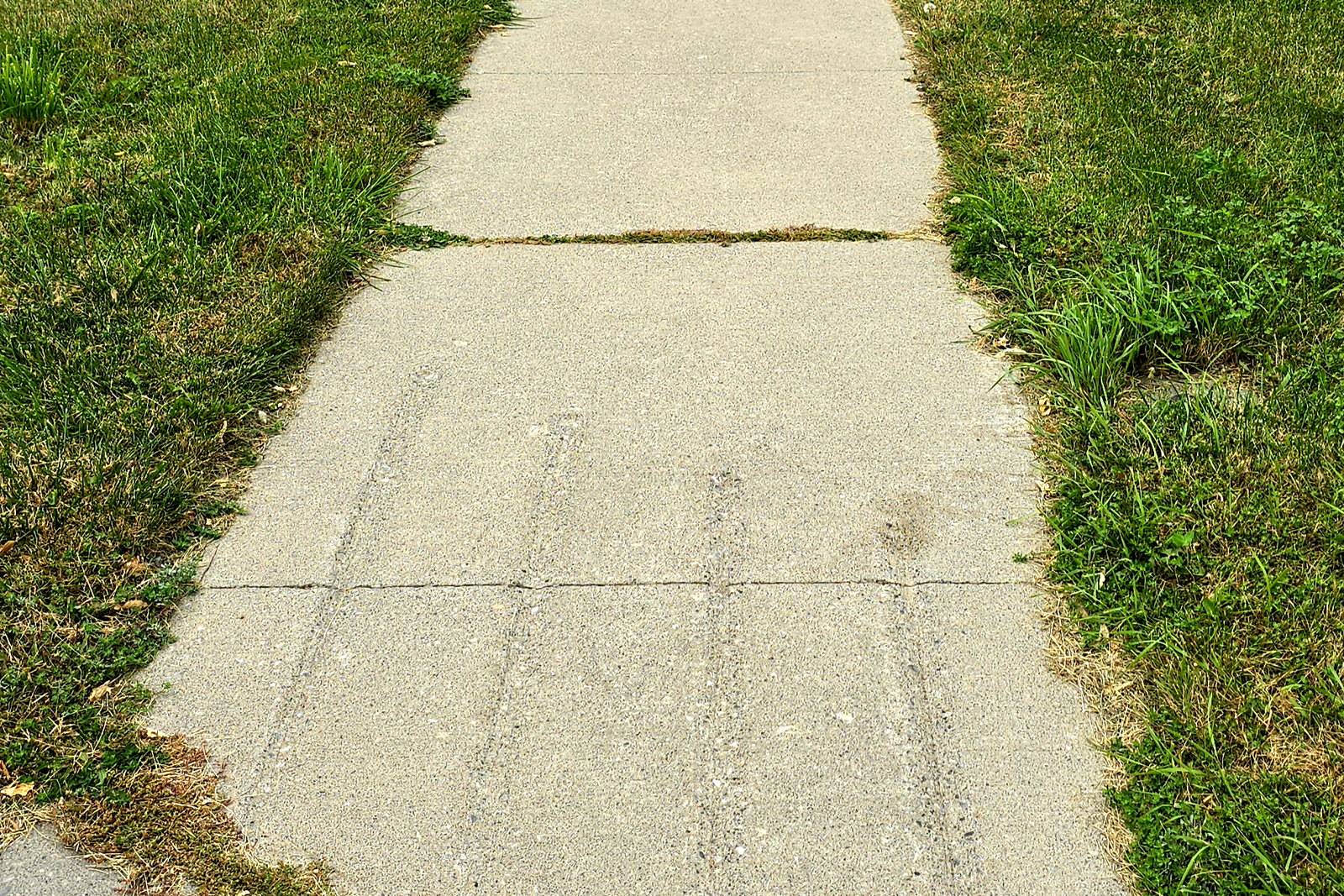A front walk with grass growing over the concrete on both sides before a lawn cut