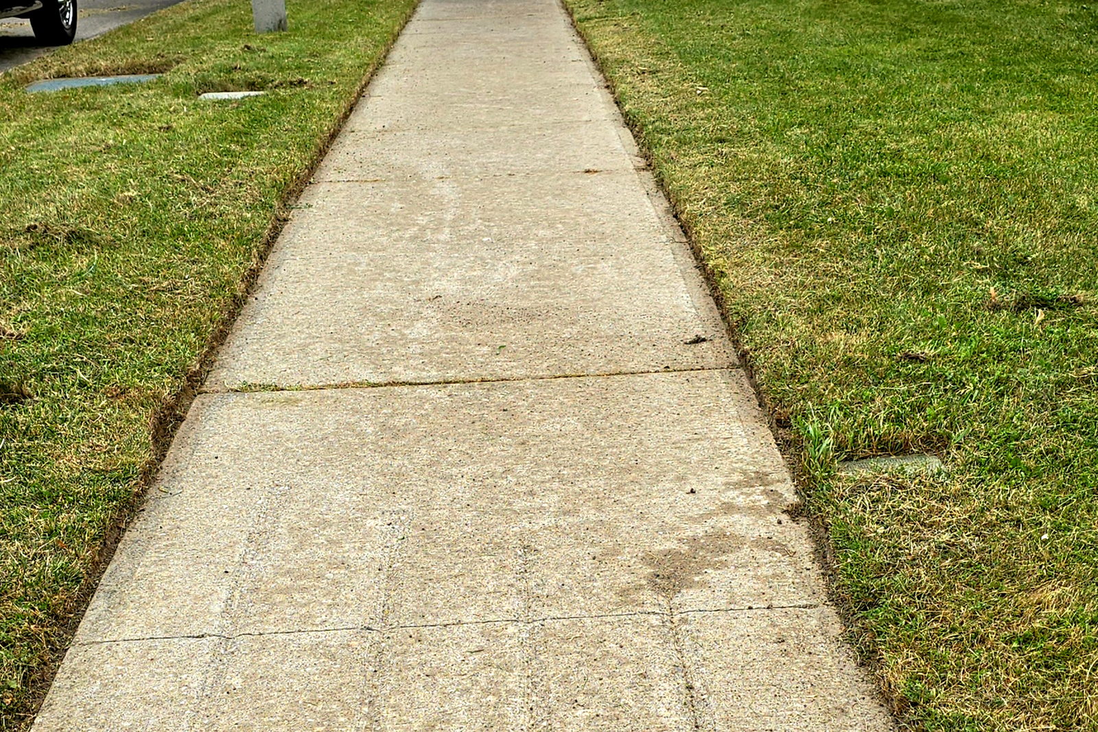 A front walk after a Northline cut and trim