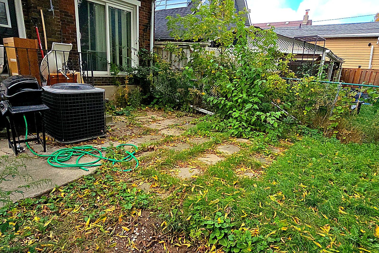 A back patio buried under long grass and weeds