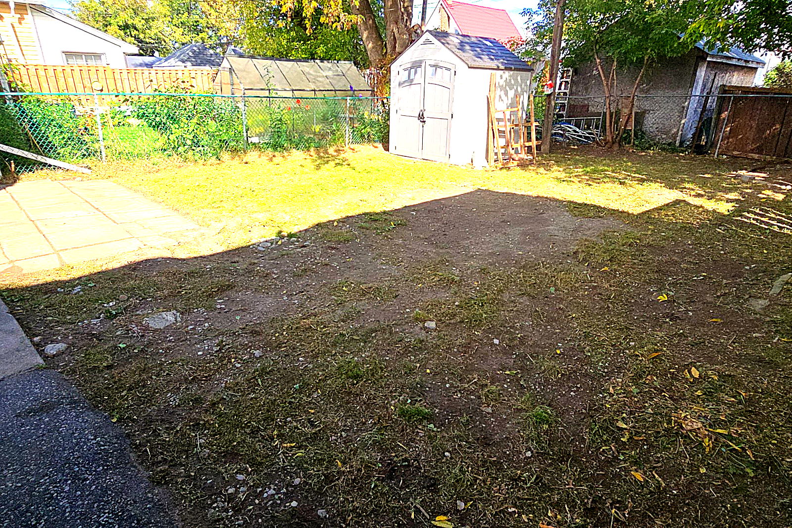 The same back lawn cleared back to the fence line