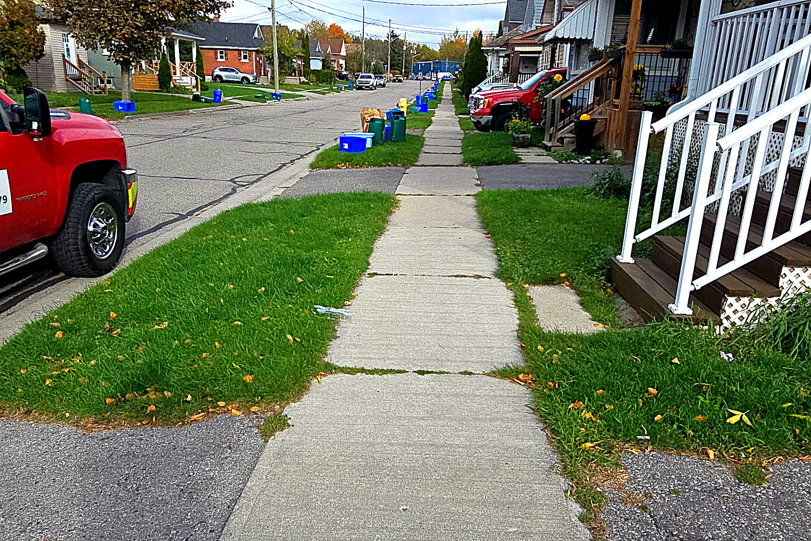 A front lawn grown long over the public sidewalk