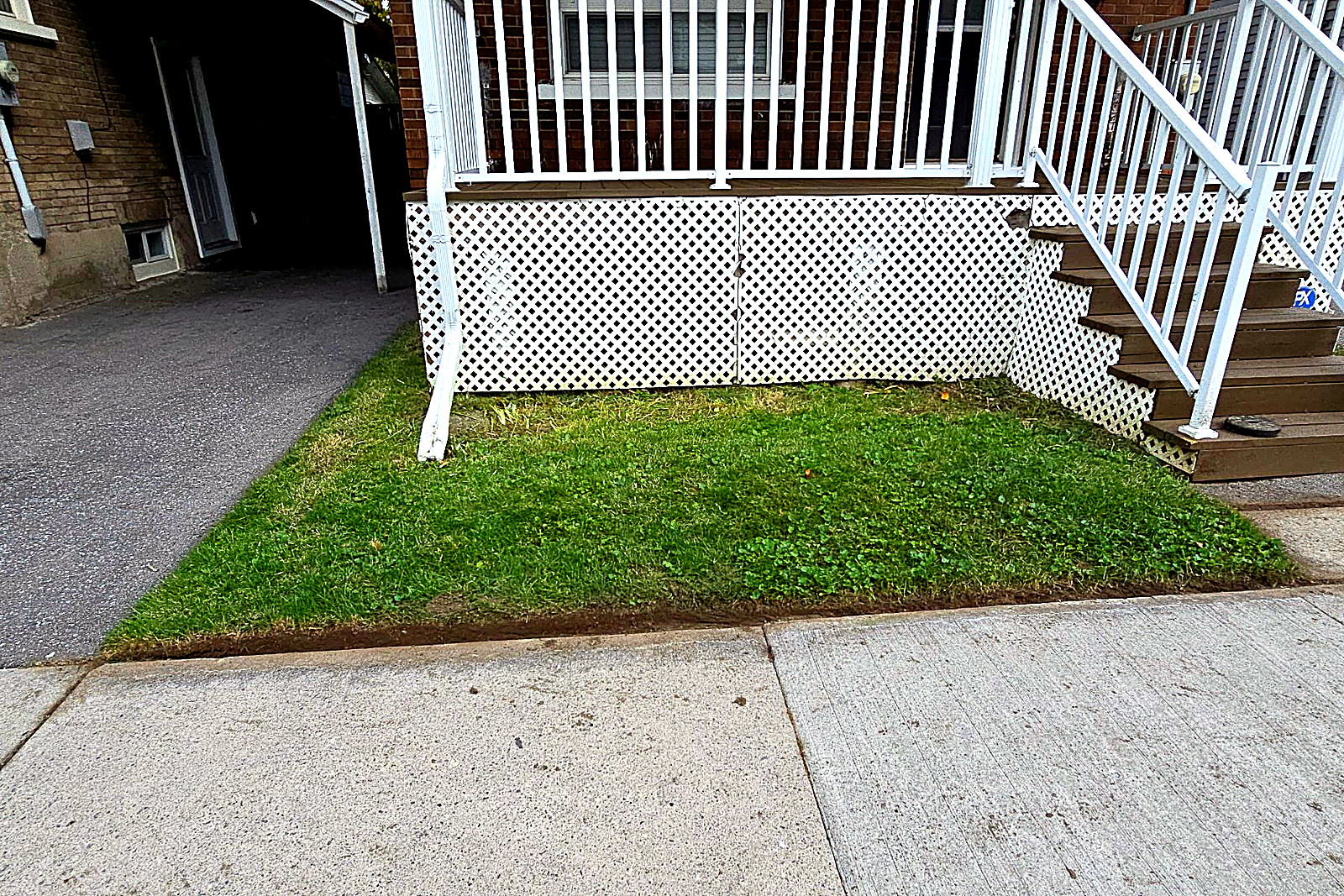 The same front steps with the lawn cut and the growth cleared from the rail