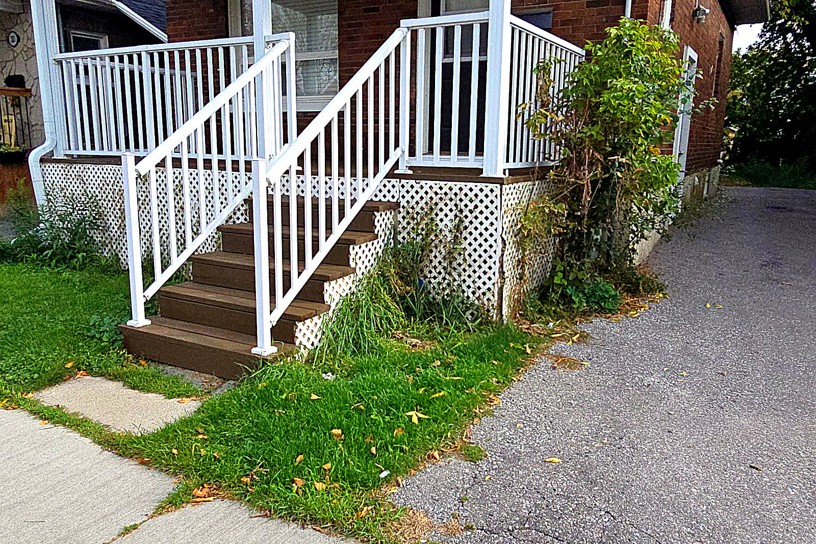 Front steps with long grass and growth against the railing