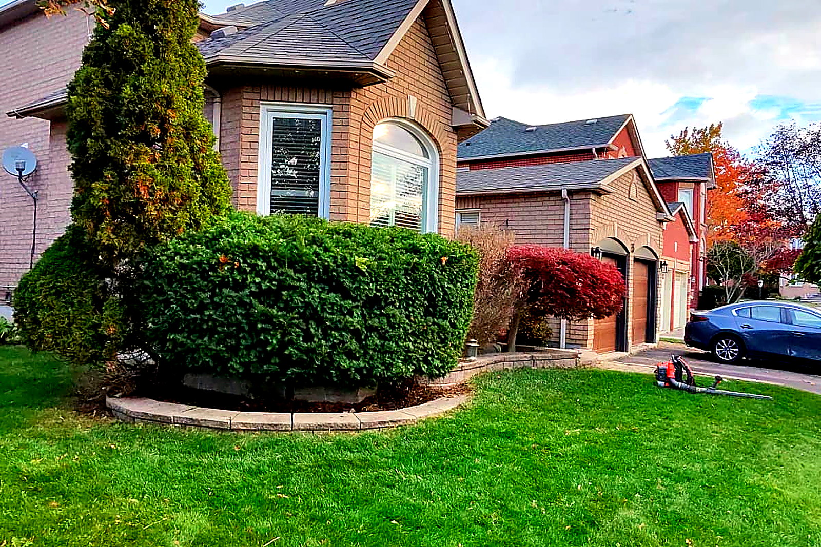 The same hedge trimmed to a flat top and clean sides, with the clippings cleared