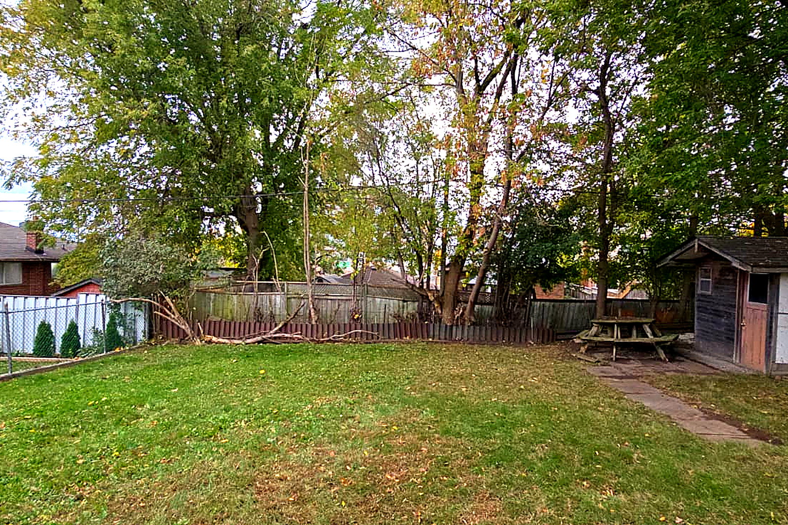 The same back lawn cleared of leaves with the fence line cut back