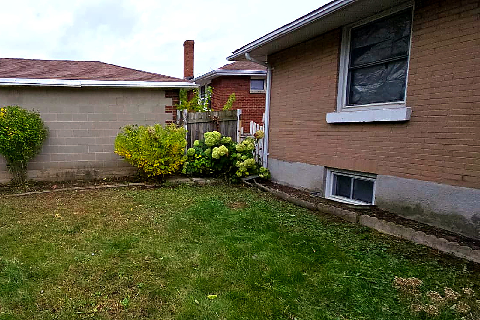 The same side bed cleared, with the foundation line and the basement window clear again