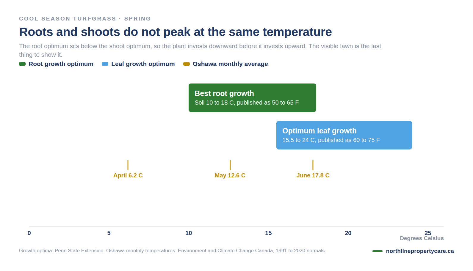 Diagram showing root growth and shoot growth temperature optima for cool season grass against Oshawa spring temperatures.