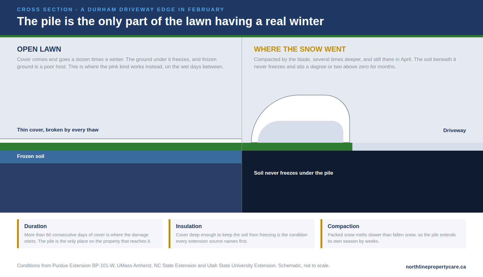 Cross section of a Durham driveway edge showing frozen soil under open lawn and unfrozen soil under the plow pile.